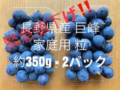 緊急値下げ‼️ 長野県産 巨峰 家庭用 訳あり品 粒 約350g × 2p