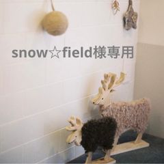 snow☆field 様専用　木の実セットおまとめˎˊ˗