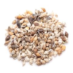 新品 [GOLD STONE] 貝殻 パーツ レジン フトコロガイ 10g シェル 材料 おうち時間 制作 ハンドメイド 工作 天然 貝 素材 巻貝 50個前後