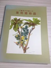 小磯良平、なつめ、高級薬用植物画、版上サイン入り、新品額付 小磯良平、なつめ、高級薬用植物画、版上サイン入り、新品額付 2025年