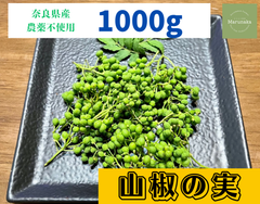山椒の実1000g　【奈良県産・農薬不使用】