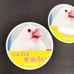 送料無料　アルビノ「文鳥　かわちい　ステッカー」（約６０ｍｍ×約６０ｍｍ）２枚セット販売🎵