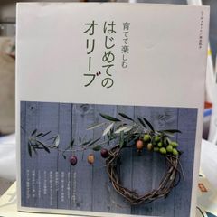 育てて楽しむはじめてのオリーブ