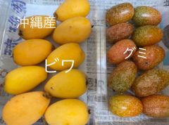 数量限定！　沖縄産びわ、グミ