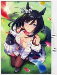 【中古】アクリルスタンド・アクリルパネル エイシンフラッシュ ビジュアライズスタンド 「一番くじ ウマ娘 プリティーダービー 8弾」 E賞