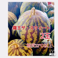 熊本県産　スイカ　羅王ザ・スウィート　3L   2玉　農家直送