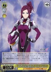 2025年最新】ヴァイス マクロス デッキの人気アイテム - メルカリ