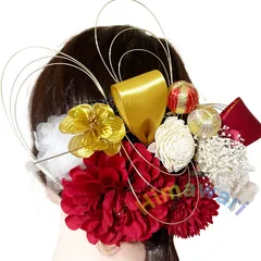 華やか ドライフラワー ヘッドドレス 髪飾り ソラフラワー カスミ草 成人式 結婚式 包装箱入り 振袖 袴 fs1035