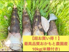 7月限定価格】流しそうめん 5m 天然竹使用 油抜き ササクレ除去