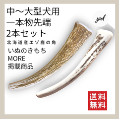 【鹿の骨より長持ち】中〜大型犬用　一本物　先端　2本セット　鹿の角　犬のおもちゃ　E