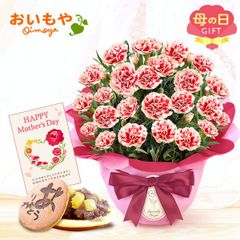 【おいもや公式】母の日限定 5号 カーネーション【イチゴホイップ】 どら焼き スイーツ 和菓子 お菓子 鉢植え プレゼント 生花 花 赤色 白色 おしゃれ かわいい (お届け時期:5/5～11のいずれか)