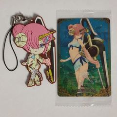 FGO 프랑켄슈타인 수영복 러버스트 레어 카드 세트