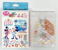 東京ディズニーリゾート キーチェーン SUNNY SUNNY Summer ドナルド