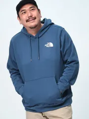 THE NORTH FACE ザ ノースフェイス プルオーバー パーカー 大きいサイズ メンズ 裏起毛 バックプリント PLACES WE LOVE HOODIE スウェット シェイディーブルー
