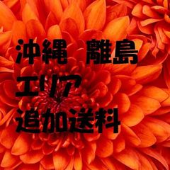 沖縄　離島　エリア　追加送料