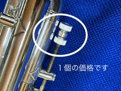 Item thumbnail for item a10f26af-2811-4b54-acd3-8e52176c8284