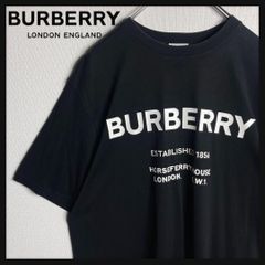 ✨極美品/現行/L✨バーバリーロンドン Tシャツ 全面ロゴ クルーネック 