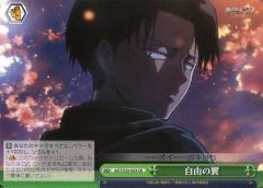 [중고]바이스슈바르츠 AOT/S35-053[CR]:자유의 날개