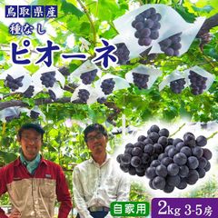 ☆☆8月上旬発送予定☆種なしぶどう(ピオーネ・自家用)鳥取県産】冷蔵便】4-5房入で1箱約2kg農家指定果物ブドウマスカット北栄町産(旧大栄町)農家指定果物お中元