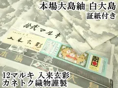 平和屋本店○極上 本場大島紬 白大島 12マルキ 入来玄彩 カネトク織物