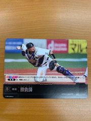 ロビン・フッド - シャーウッドの英雄(エンチャンテッド)(221/204) 状態B ロビン・フッド シャーウッドの英雄 221/204 エンチャン