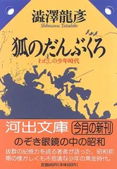 売れ筋】 澁澤龍彦 文庫 23冊セット 文学/小説 - www.mohammadtuhin.com