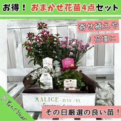 2025年最新】花苗の人気アイテム - メルカリ