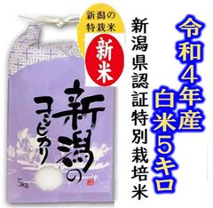 令和4年産　新米・新潟コシヒカリ・新潟県認証特別栽培米1等白米5キロ 1個