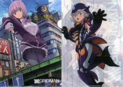 [중고] 클리어 파일 신조 아카네 A4 클리어 파일 2장 세트 [SSSS.GRIDMAN×돈키호테]