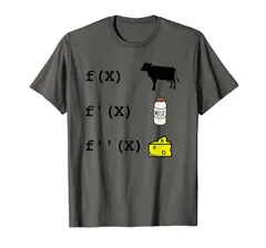 おかしな微分分析 数学 数学教師 学生 Tシャツ