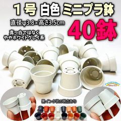平日＊日中注文即日発送-1号鉢ミニプラ鉢＊白色鉢(ホワイト)-40鉢＊1寸鉢＊多肉植物・塊根植物コーデックス・アガベ・サボテン・盆栽・観葉・ハオルチア・アデニウム・パキポディウム・実生・一寸鉢40個＠フラワーショップ江口