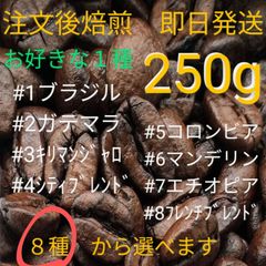 焙煎珈琲豆　選べる１種　250g　注文後焙煎　即日発送