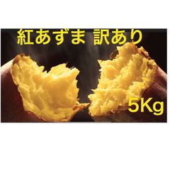 さつまいも 令和5年産 新物 紅あずま5Kg箱 千葉県産 B品2S~Lサイズ