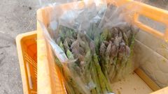 アスパラガス1kg 農家直送 北海道産 まもなくシーズン終了