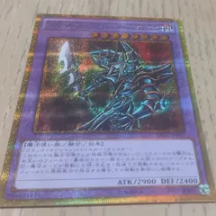 大人気!? ブラックパラディン シークレット lcyw 2025年最新】遊戯王 ブラック パラディン シークレットの人気