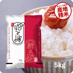 米 新之助5kg お米 令和6年産 白米 送料無料（沖縄のぞく）