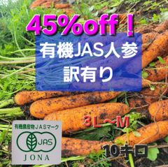 有機JAS認定人参　訳あり　１０キロ