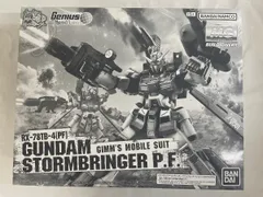 2025年最新】mg 1/100 ガンダムストームブリンガーの人気アイテム