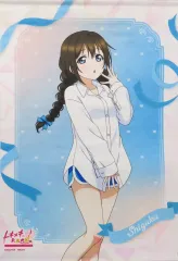 【中古】タペストリー [単品] 桜坂しずく 描きおろしB2タペストリー 「Switchソフト ラブライブ! 虹ヶ咲学園スクールアイドル同好会 トキメキの未来地図 ファミ通DXパック+3Dクリスタルセット」 同梱特典