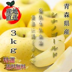 青森県産 シナノゴールド りんご【特選3kg】【送料無料】【農家直送】リンゴ