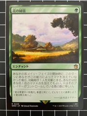 Mtg シングル: 擬態する歓楽者、ゴドリック エルドレインの森 - メルカリ