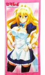 【中古】タオル・手ぬぐい(キャラクター) 月海 バスタオル 「PS2 セキレイ ～未来からのおくりもの～」 WonderGOO特典