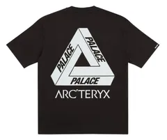 2024年最新】アークテリクス Arc\'teryx メンズ 長袖Tシャツ トップス