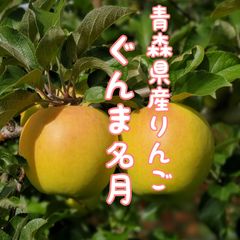 青森県産りんご★ぐんま名月★自然栽培