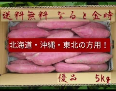 北海道.沖縄.東北の方専用！なると金時 優品M、Lサイズ 5kg