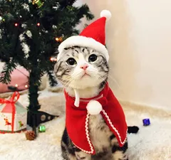 櫻 猫 犬 クリスマス 仮装 ペット服 マント かわいい スカーフ ケープ 2点セット M-サンタクロース