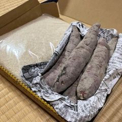 新米【丹波篠山コシヒカリ】玄米/30㎏ 令和5年産〈単一原料米〉食味値