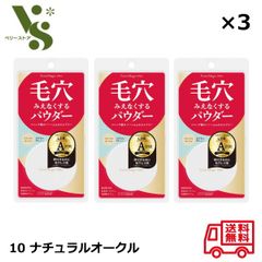 ポイントマジックPRO プレストパウダーC 10 ナチュラルオークル 6g ×3個セット 黒龍堂 標準的な肌色 毛穴 フェイスパウダー パウダー 90