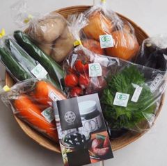 朝採れたて！無農薬　JAS認定の有機野菜
