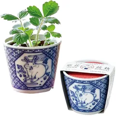 古い染付兎茶碗　うさぎ　ウサギ　骨董　柳宗悦　民藝　青山二郎　白洲正子　検:李朝 2025年最新】染付うさぎの人気アイテム - メルカリ